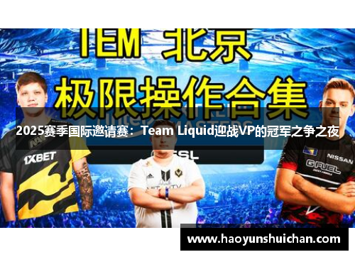 2025赛季国际邀请赛：Team Liquid迎战VP的冠军之争之夜